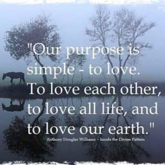 Meet your Posher, Melissa - Picture 1 of 1